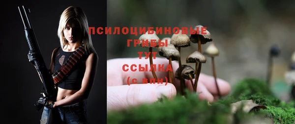 a pvp Зеленокумск