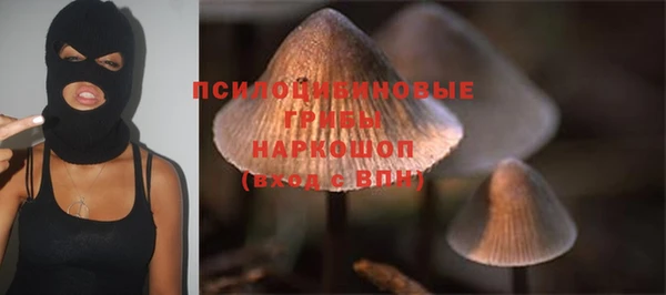 a pvp Зеленокумск