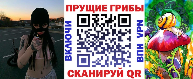 Галлюциногенные грибы Psilocybine cubensis  хочу   Змеиногорск 